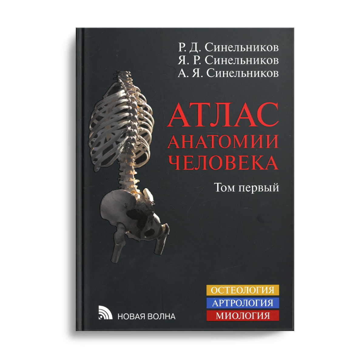 фото Книга атлас анатомии человека в 3 т. т. 1: учение о костях, соединениях костей и мышцах... новая волна