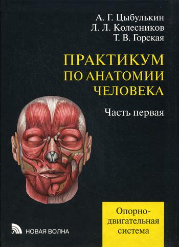 фото Книга практикум по анатомии человека в 4 ч. ч. 1. опорно-двигательная система новая волна