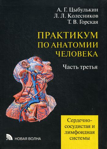 фото Книга практикум по анатомии человека в 4 ч. ч. 3. сердечно-сосудистая и лимфоидная система новая волна