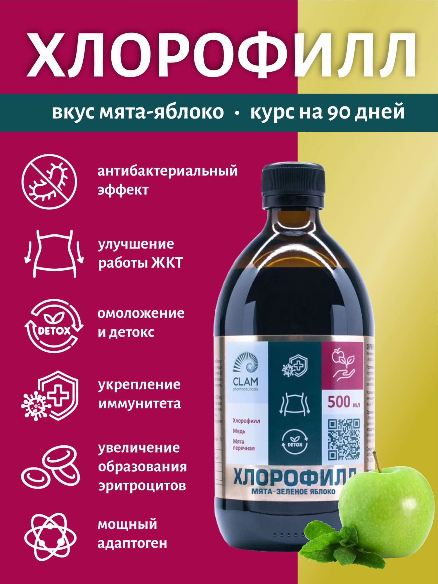 

Жидкий хлорофилл ClamPharm мята-зеленое яблоко, концентрат, 500 мл, хлорофилл
