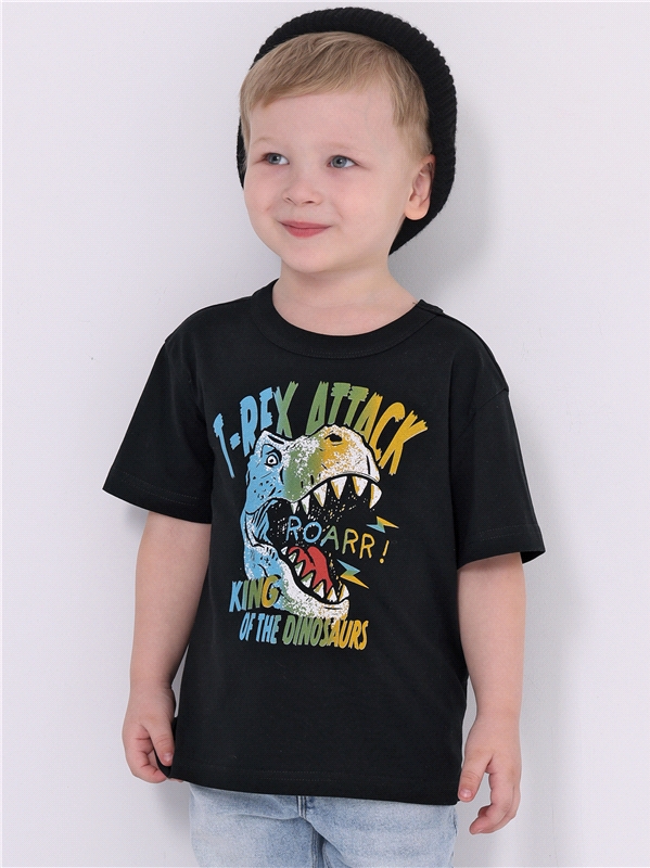

Футболка детская Апрель ф228001010У4, черный Разноцветный динозавр, 116, ф228001010У1