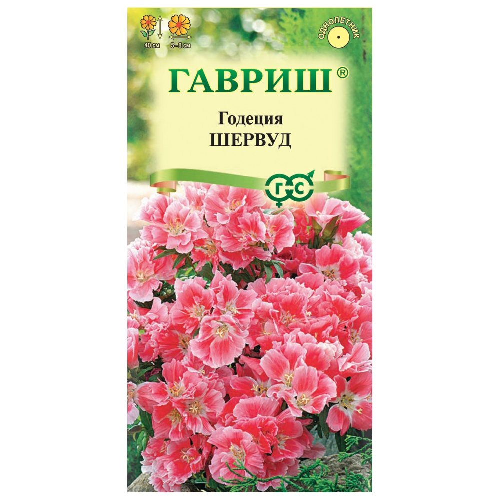 

Семена годеция Шервуд Гавриш 1071857572-10 1 уп.