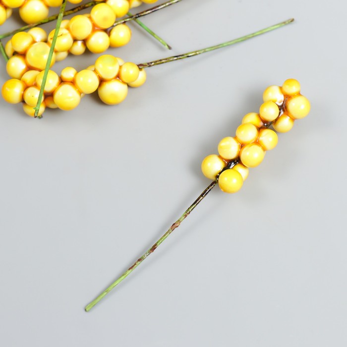 фото Декор для творчества "веточка с ягодами" жёлтый набор 10 шт 1х1х9 см арт узор