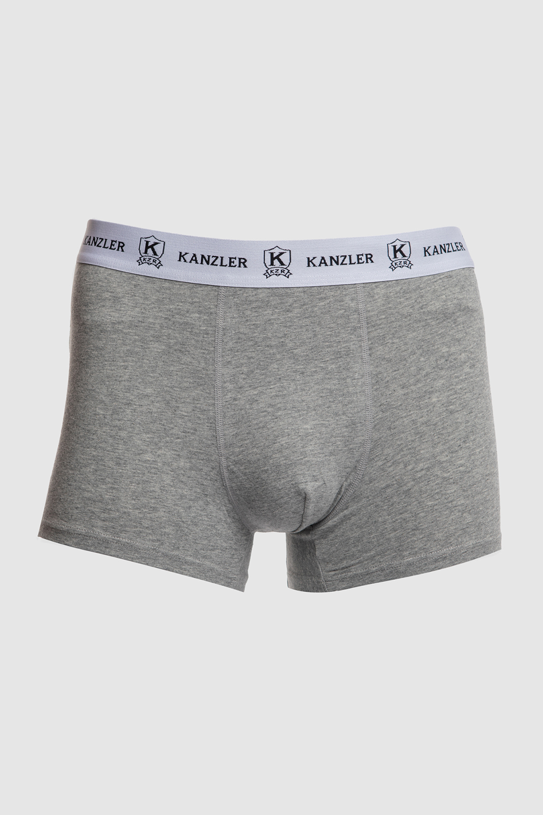 

Трусы мужские Kanzler NN-B39WT-0117-03 серые XXL, Серый, NN-B39WT-0117-03