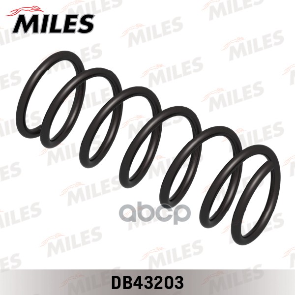 

Пружина Задняя Miles DB43203