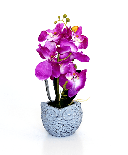 

Искусственные цветы BuyHouse HR-55646 фиолетовый