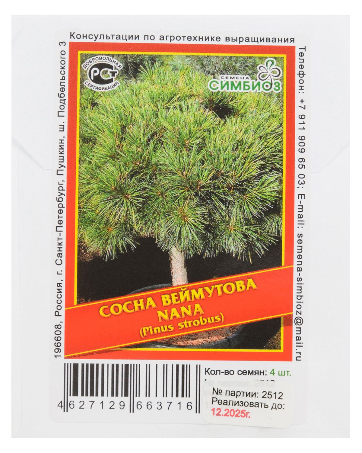 

Сосна Веймутова «Nana» - 4 шт.