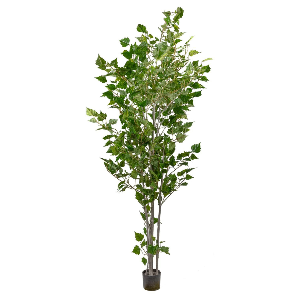 

Искусственные цветы BuyHouse HB-36974 зеленый