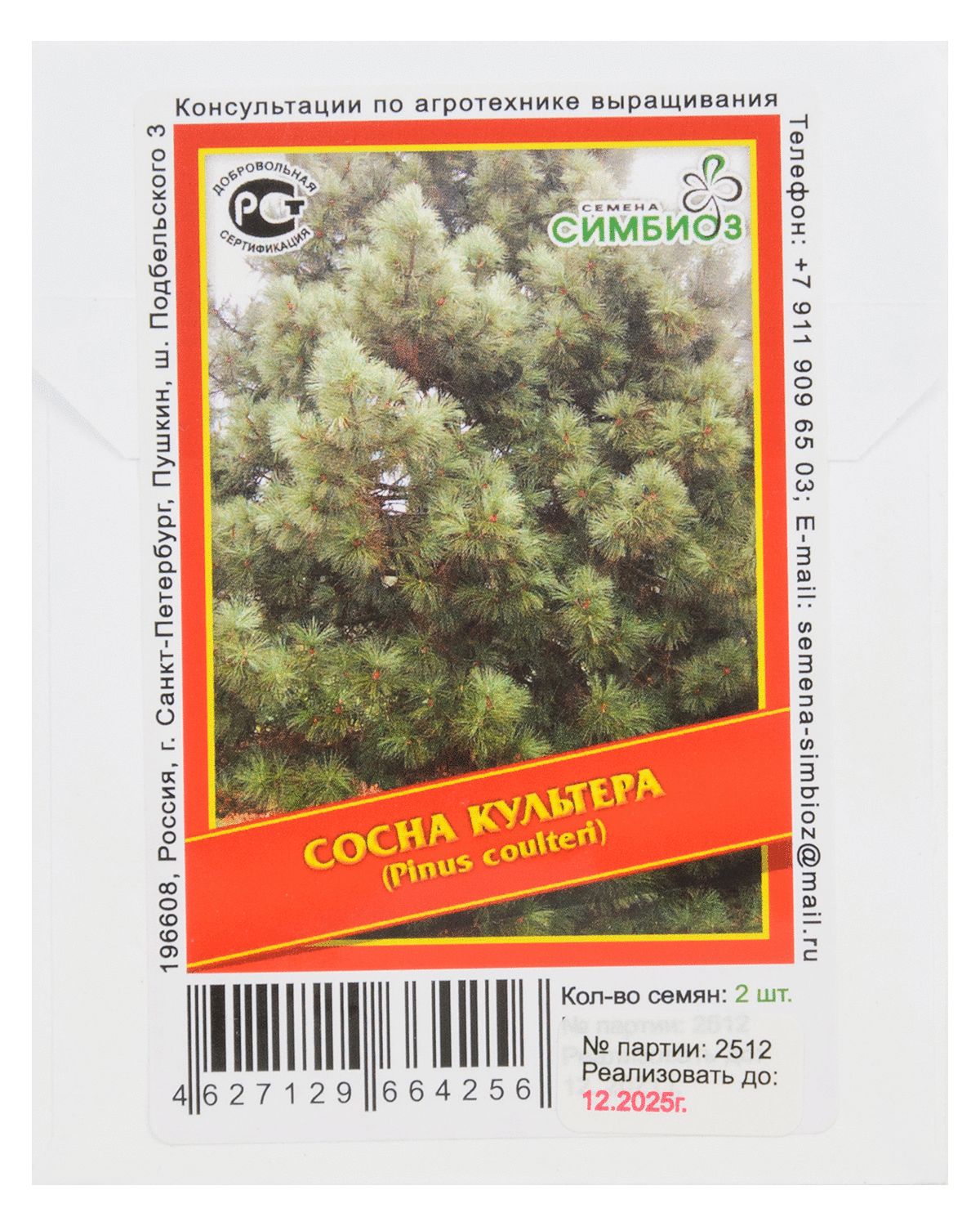 

Сосна Культера - 2 шт.