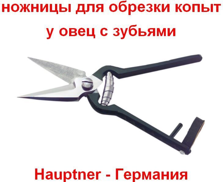 Ножницы для обрезки копыт Hauptner у овец с зубьями 2275₽