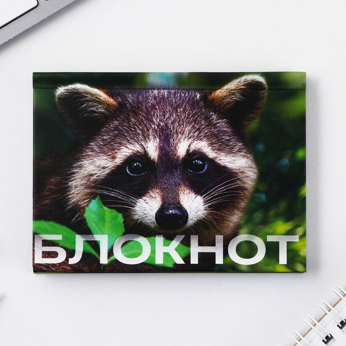 

Блокнот ArtFox Енот, 9608230, в твердой обложке А7, 64 л