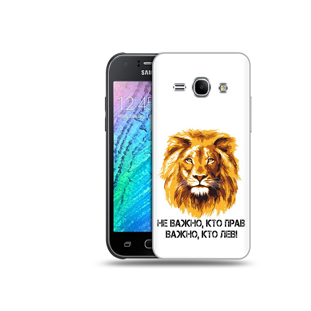 

Чехол MyPads Tocco для Samsung Galaxy J1 мудрый лев (PT12095.602.486), Прозрачный, Tocco