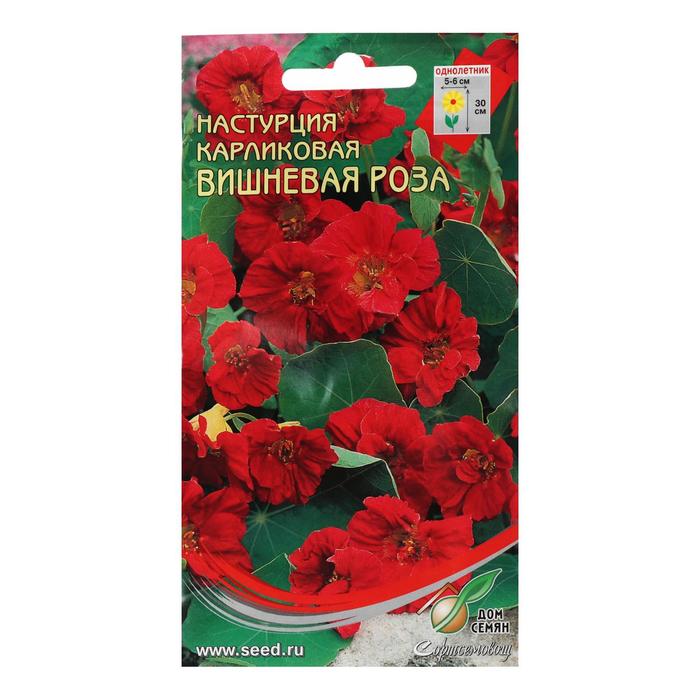 

Семена цветов Настурция карл.Вишневая Роза, 8 шт
