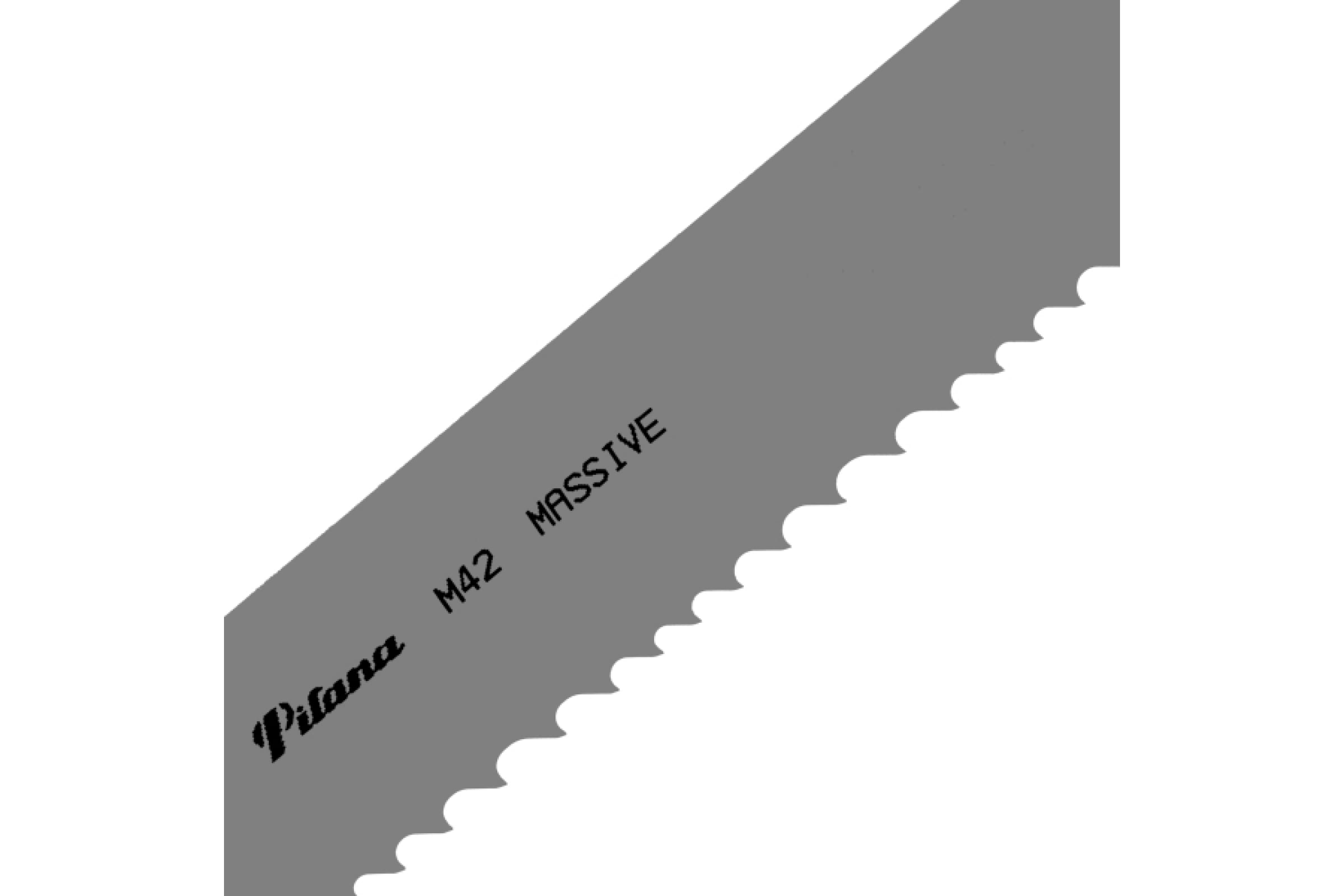 

Pilana Metal Пила ленточная PILANA MASSIVE M42 4120х34х1,1 2/3 4627201550651