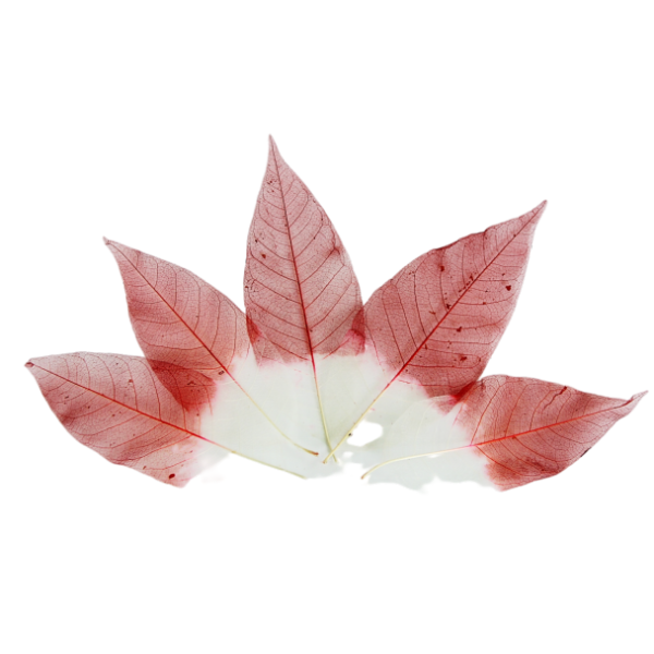 

Искусственные цветы BuyHouse HR-58884 красный