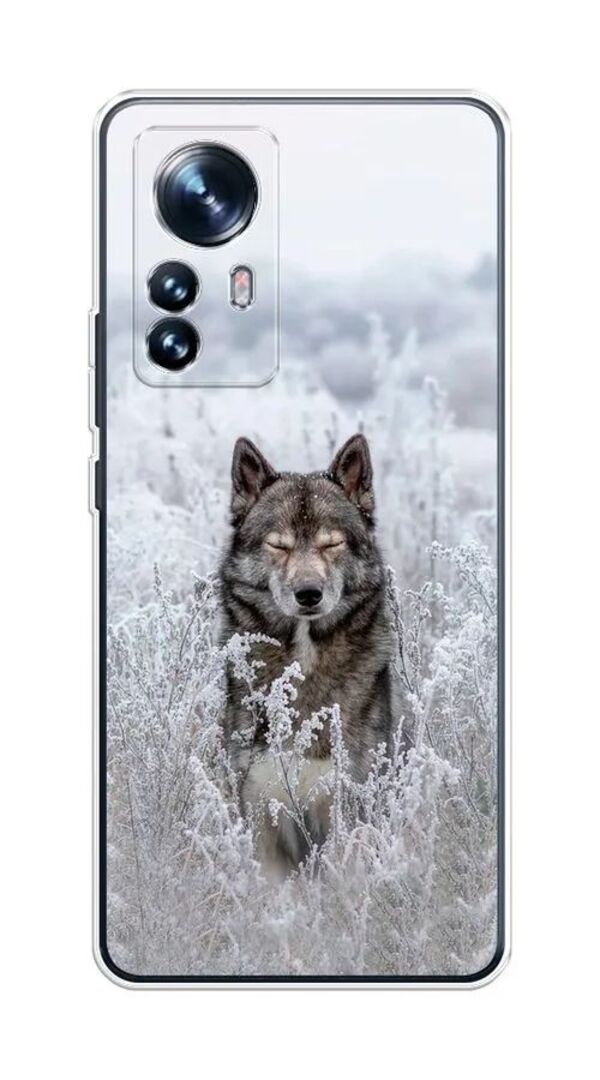 

Чехол Awog на Xiaomi 12S "Волк в поле", Разноцветный, 316050-1