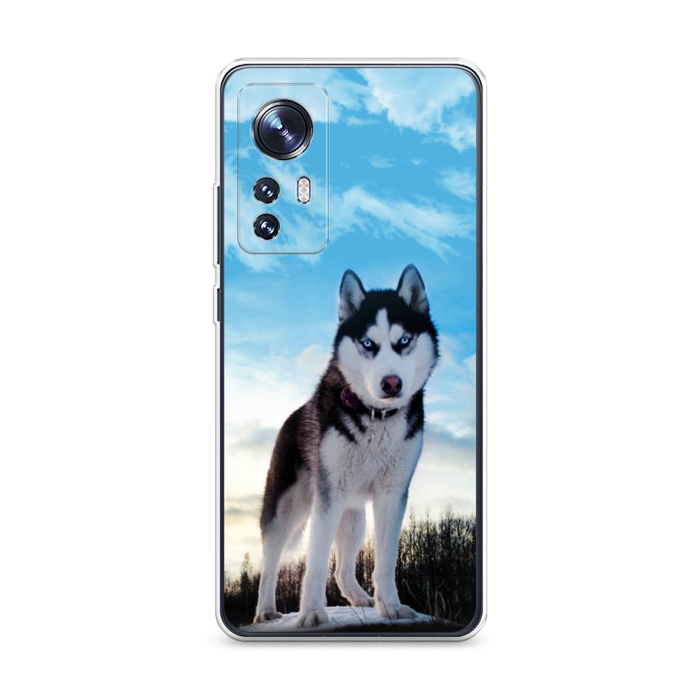Чехол Awog  на Xiaomi 12S 