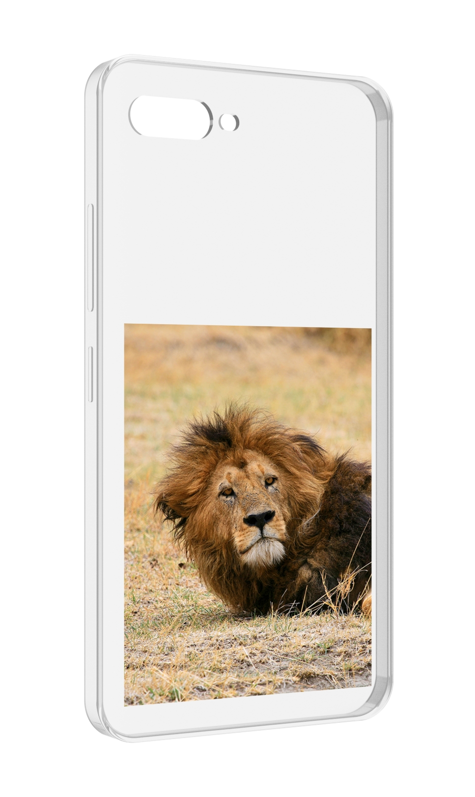 

Чехол MyPads Лев-лежит мужской для ITEL A25 / ITEL A25 Pro / ITEL A35, Прозрачный, Tocco