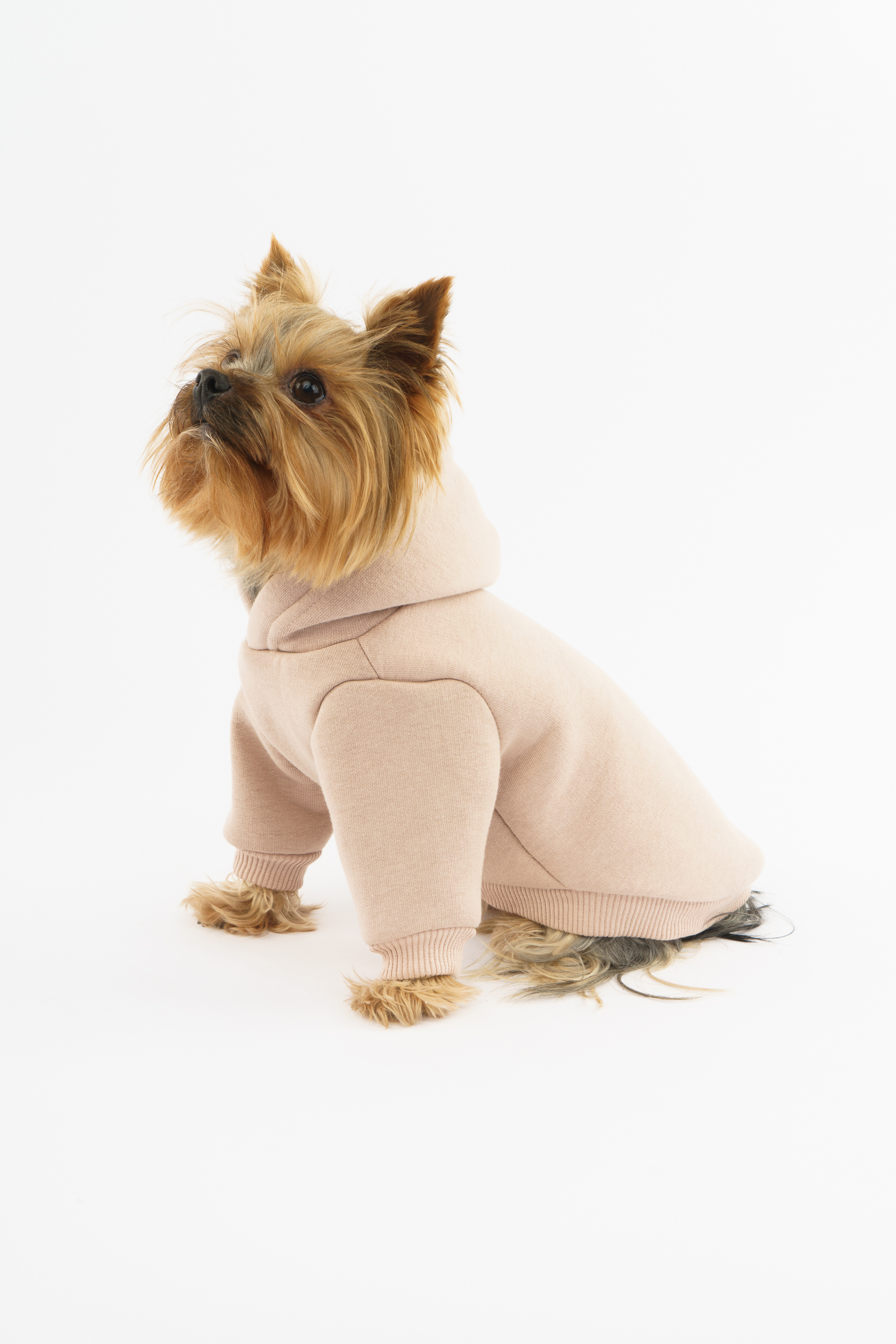 фото Толстовка для собак ennergiia, унисекс, бежевый, s, длина спины 23 см