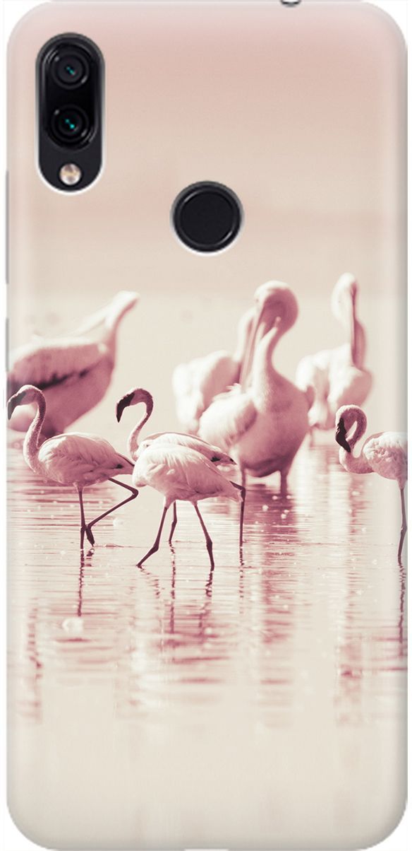 

Чехол на Xiaomi Redmi Note 7 "Розовые фламинго", Белый;розовый, 2056