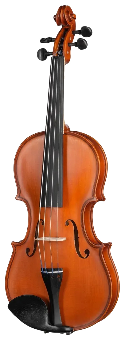 Скрипка размер 1/2 Gliga S-V012
