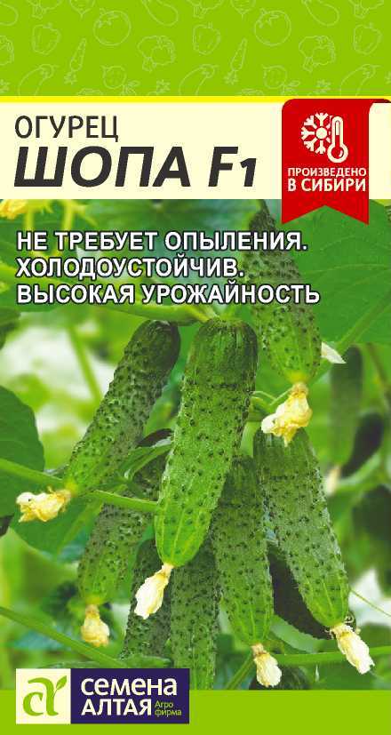 

Семена огурец Семена Алтая Шопа F1 16163 1 уп.
