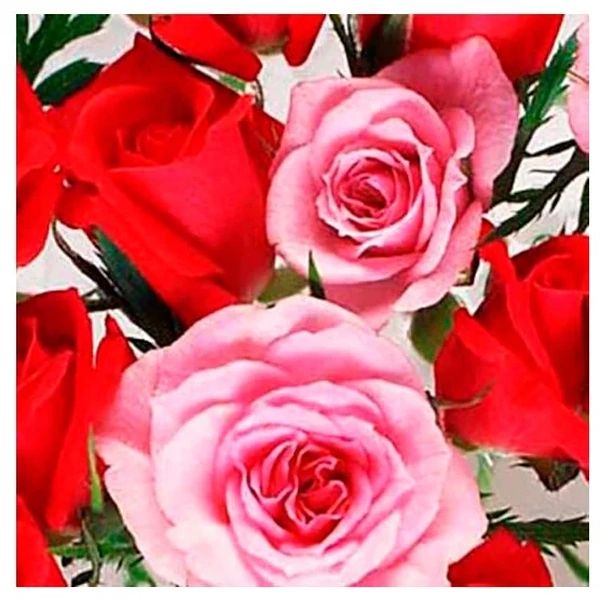 Салфетки Lori Розовые Розы 2сл 33х33 см 16 шт