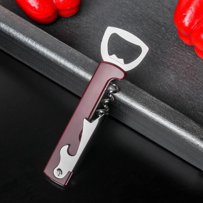 

Открывалка универсальная Доляна «Цветная», 13 см, цвет МИКС, (2шт.), В ассортименте