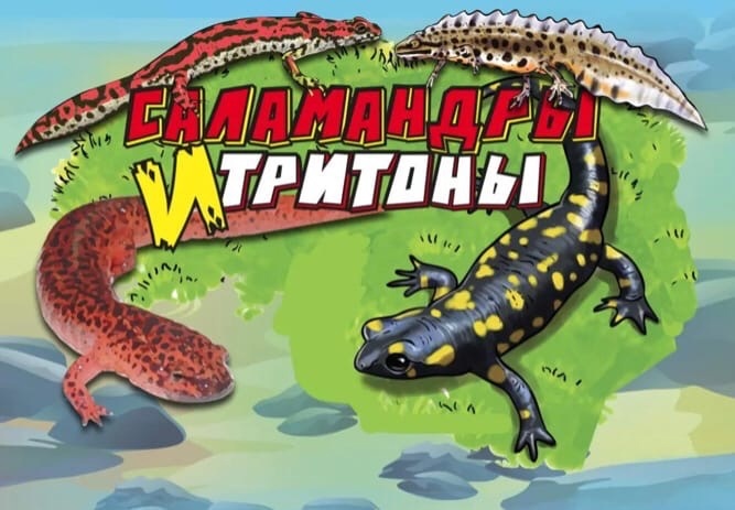 фото Игровой набор животных sbabam из 2 шт. саламандры и тритоны