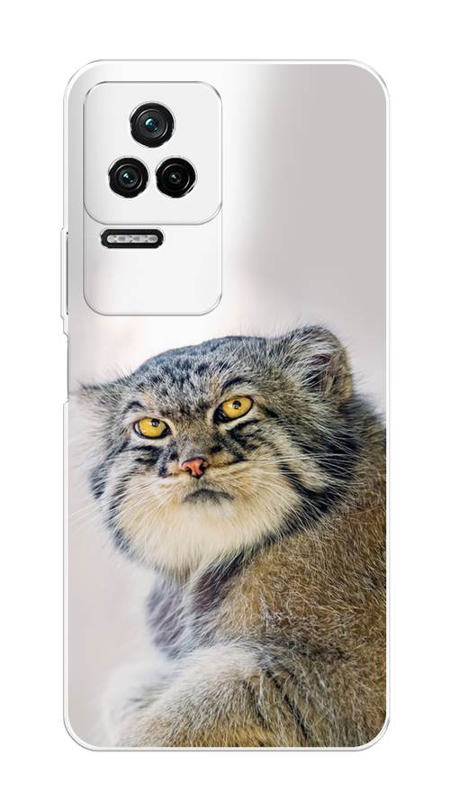 

Чехол на Poco F4/Redmi K40S "Кот манул 1", Серый;белый;желтый, 314650-1