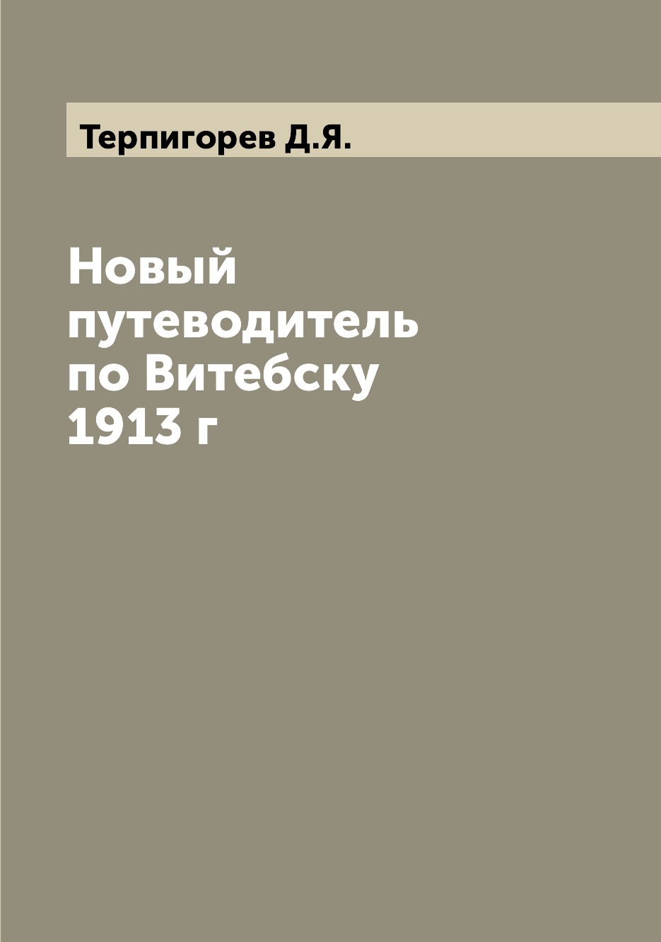 

Новый путеводитель по Витебску 1913 г