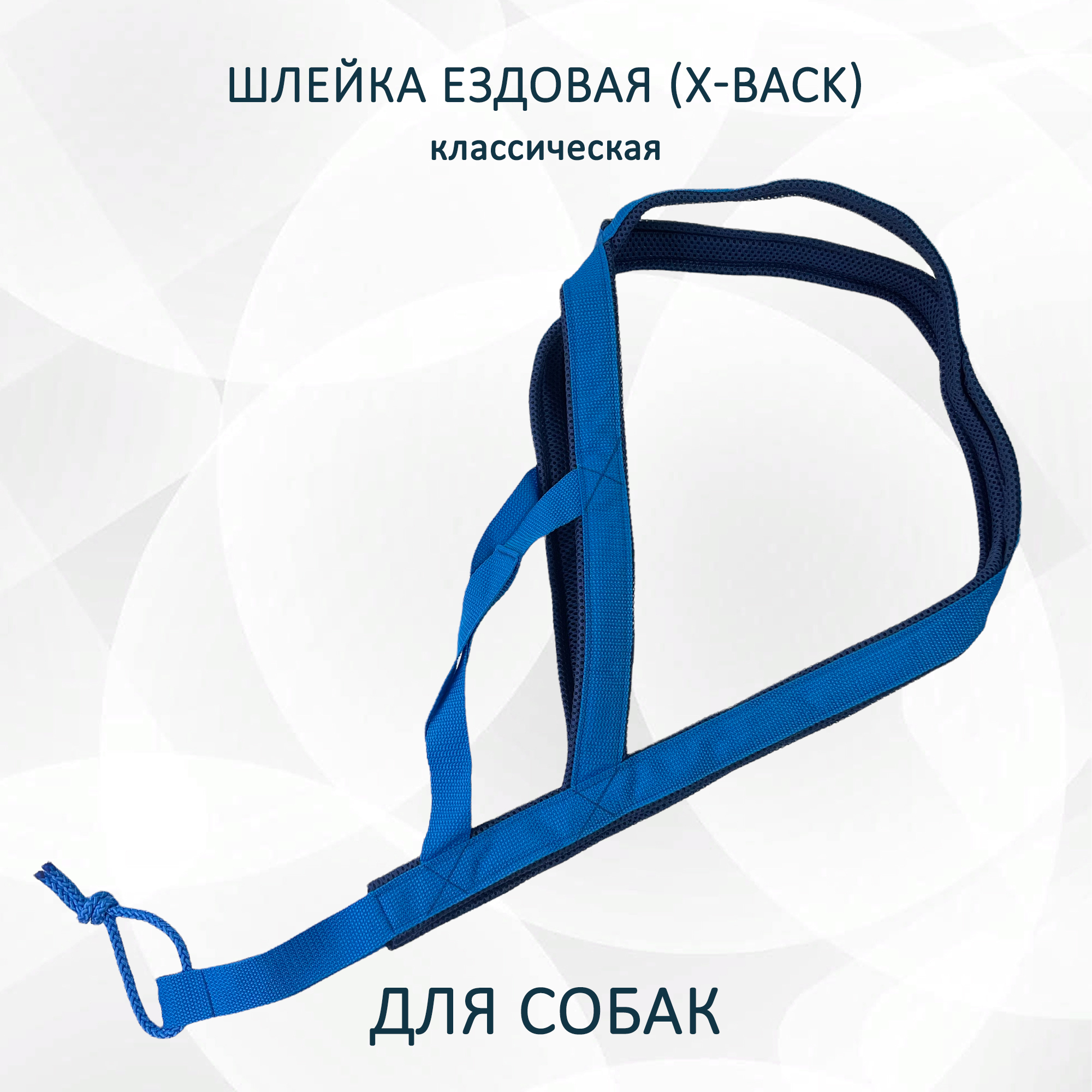 Шлейка для собак Totemica X-Back ездовая, классическая, синяя, размер XS