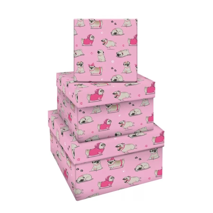 

Набор квадратныx коробок 3в1, MESHU Dog, (19,5x19,5x11-15,5x15,5x9см)