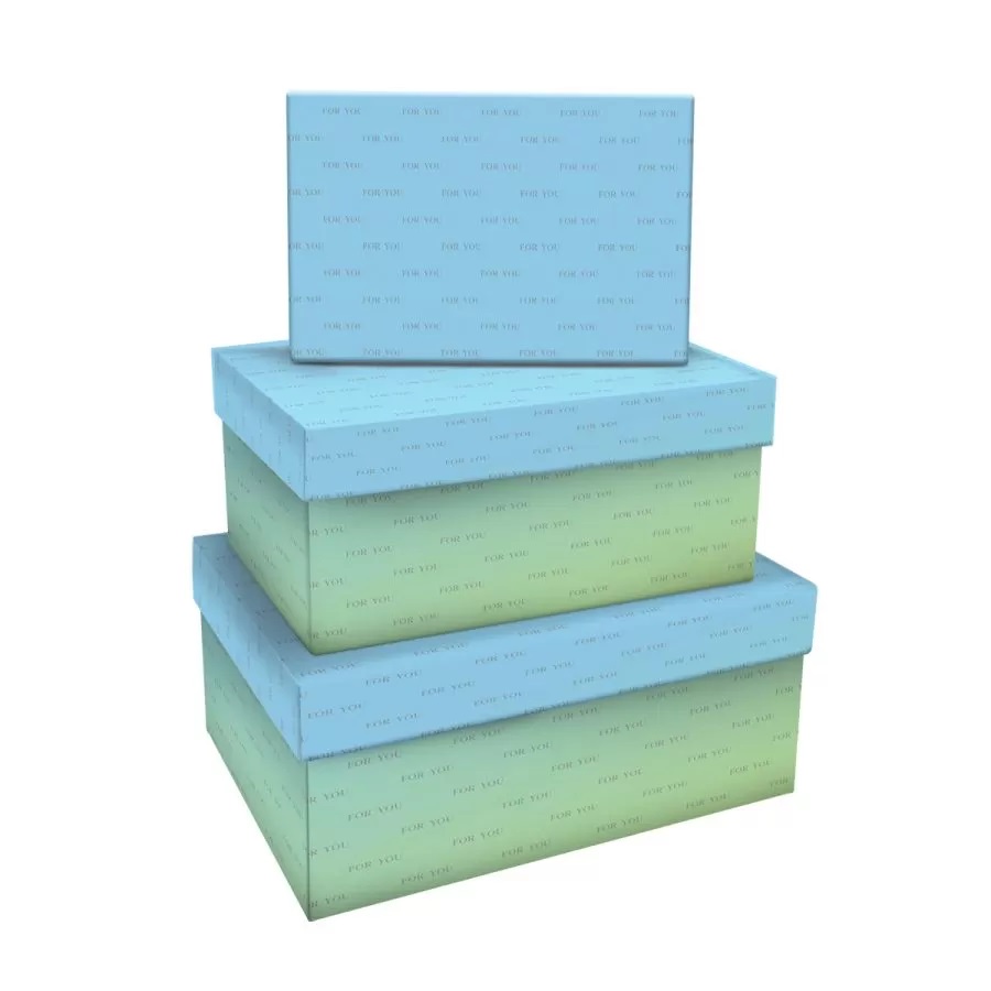 

Набор прямоугольныx коробок 3в1, MESHU Green-blue gradient, (19x12x7,5-15x10x5см)