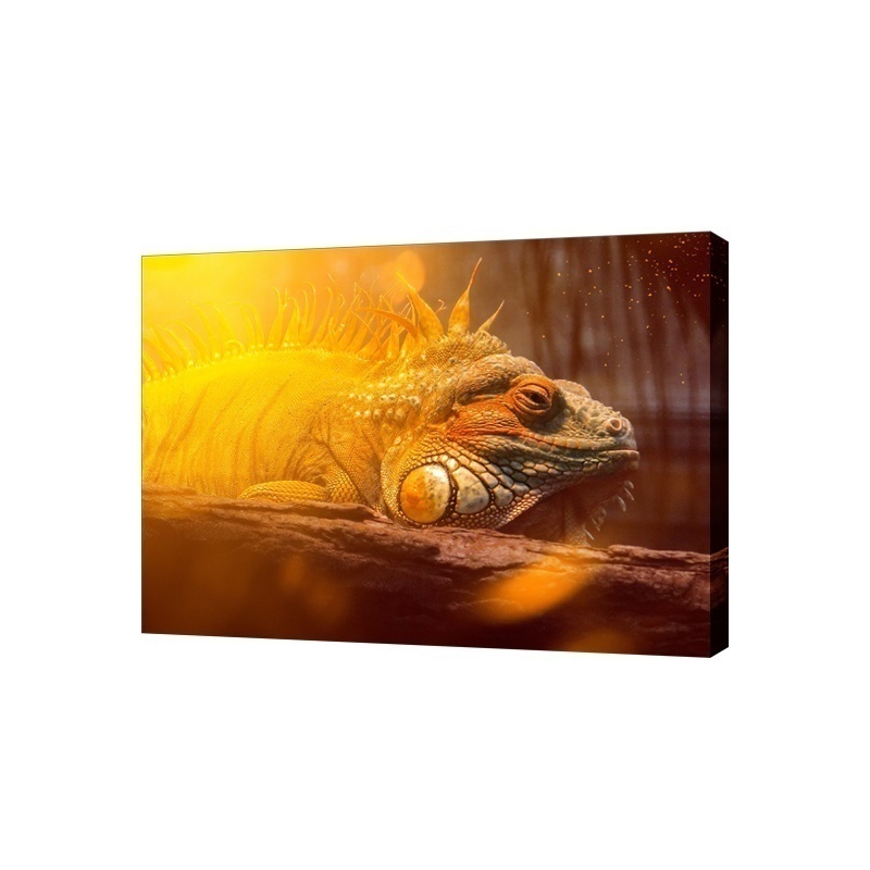 

Картина на холсте на стену Сити бланк Желтая игуана 100х80 см, Картина на холсте