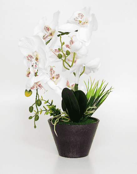 

Искусственные цветы BuyHouse HR-55648 белый