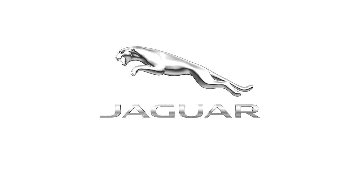 

Эмблема Jaguar кошка + надпись на багажник (хром)