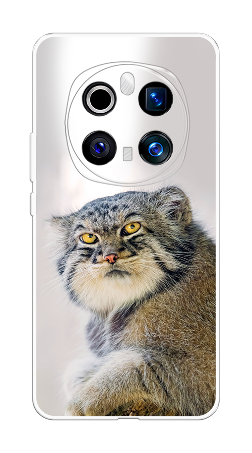 

Чехол на Honor Magic 7 Pro "Кот манул 1", Серый;белый;желтый, 6125650-1