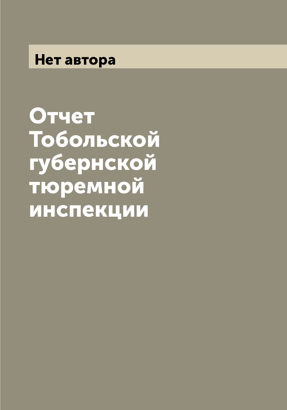 

Книга Отчет Тобольской губернской тюремной инспекции