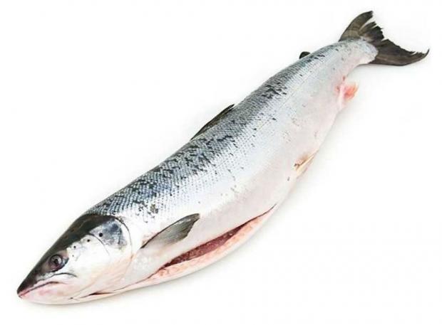 

Горбуша Ultra Fish замороженная потрошеная +-1 кг