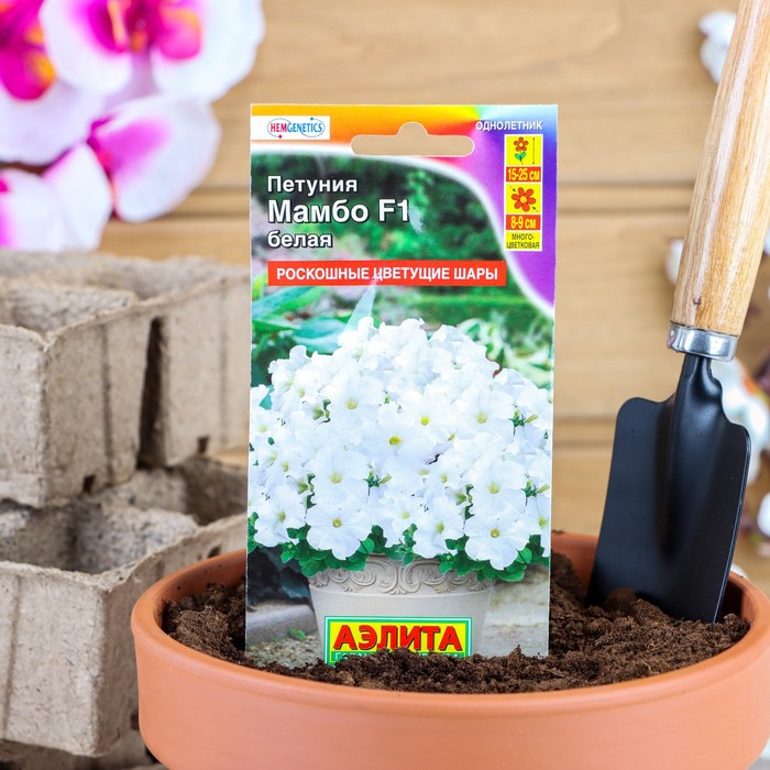 

Семена Петуния "Мамбо" F1 белая многоцветковая, 7 шт