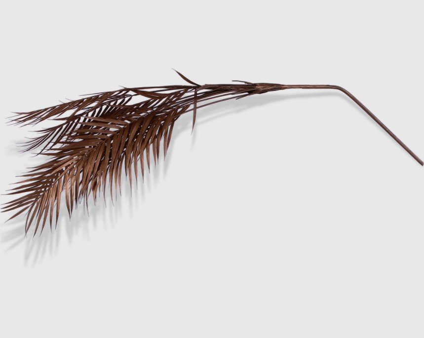 Искусственная ветка пальмы Edg 125 см