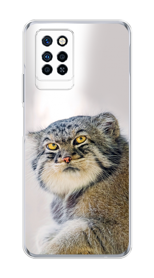 

Чехол на Infinix Note 10 Pro "Кот манул 1", Серый;белый;желтый, 3100150-1