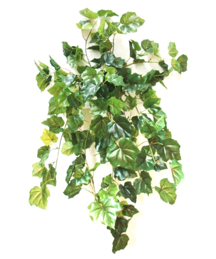 фото Искусственное растение конэко-о лиана плющ с виноградными листьями 193 листа 60 см