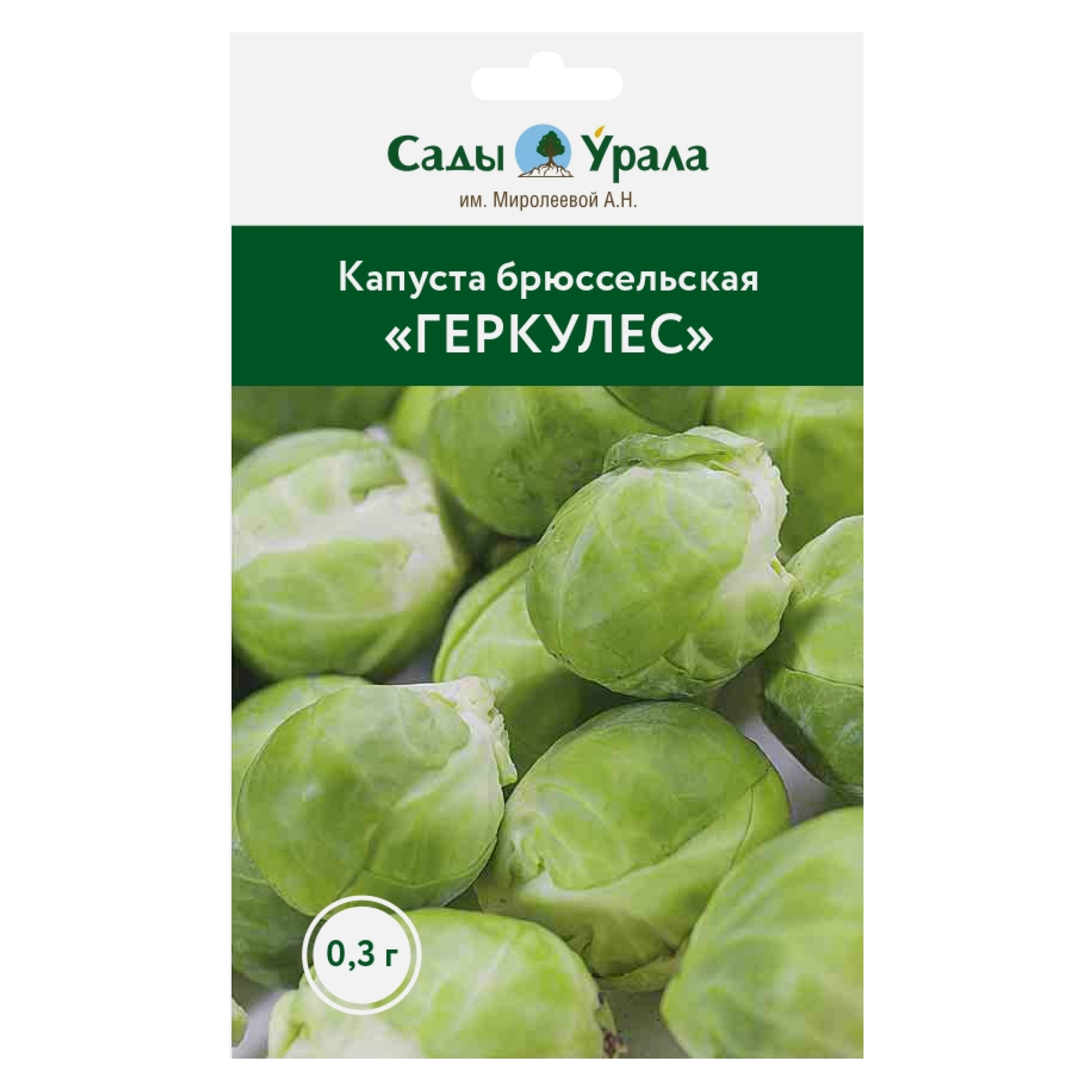 

Семена капуста брюссельская Сады Урала Геркулес 50050 1 уп., Капуста брюссельская «Геркулес»