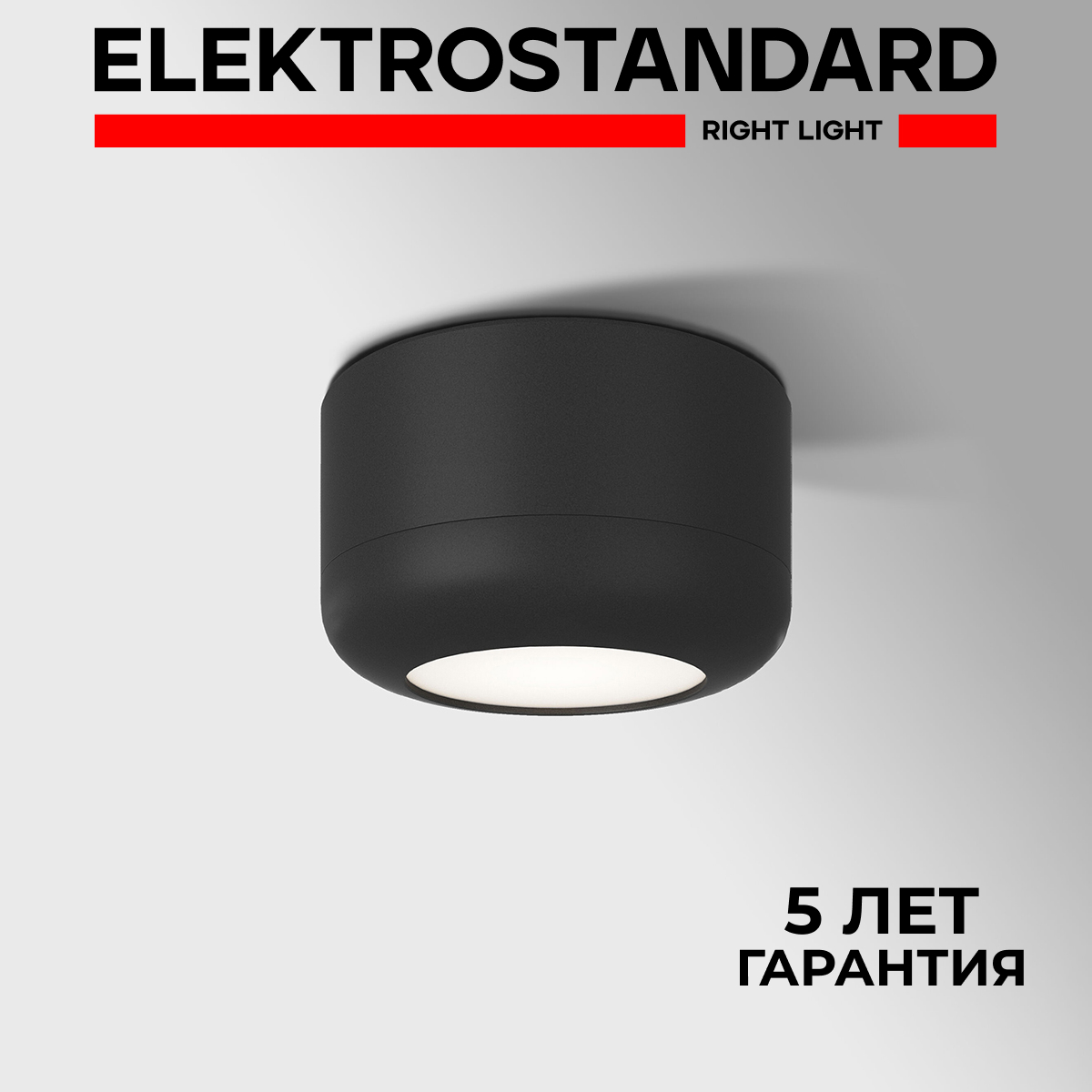 

Потолочный светодиодный светильник Elektrostandard Onde 25046/LED 15W 4000K черный