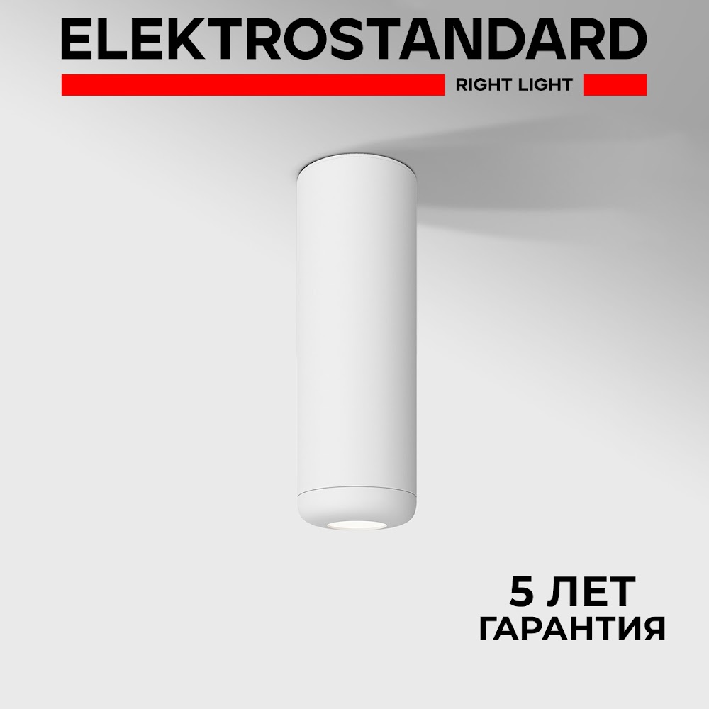 Потолочный светодиодный светильник Elektrostandard Onde 25045/LED 10W 4000K белый 600013372143