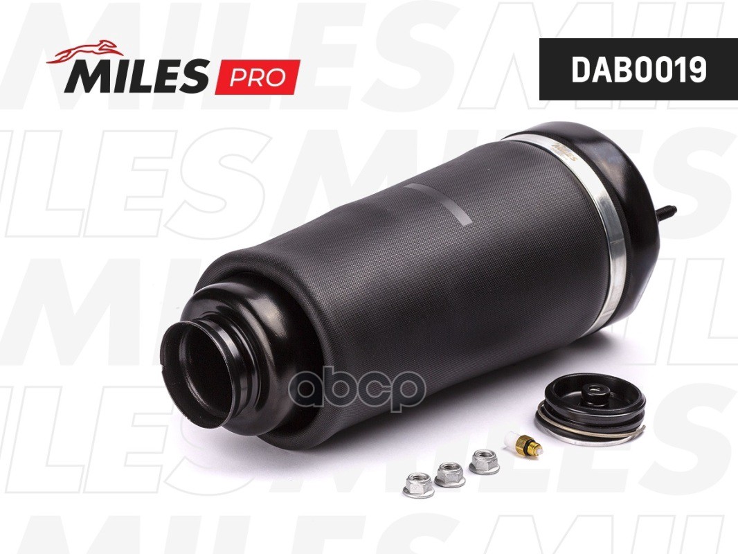 

MILES DAB0019 Пневмобаллон передний MERCEDES BENZ R-Class W251 06-13 DAB0019 1шт