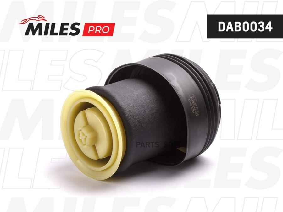 

Пневмобаллон Bmw X5 E70 07-13 X6 E71 09-14 Задн. Miles dab0034
