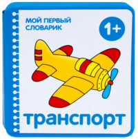 Мой первый словарик (EVA) Транспорт